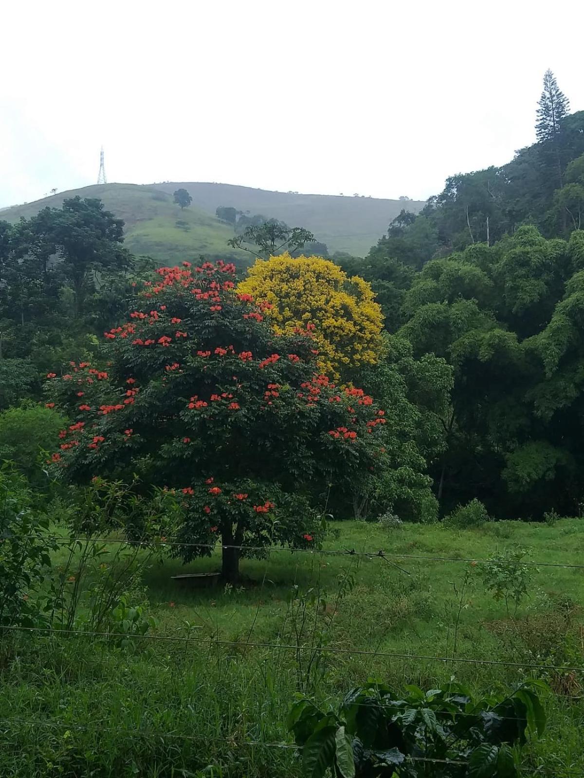 Вілла Fazenda Piloes Петрополіс Екстер'єр фото